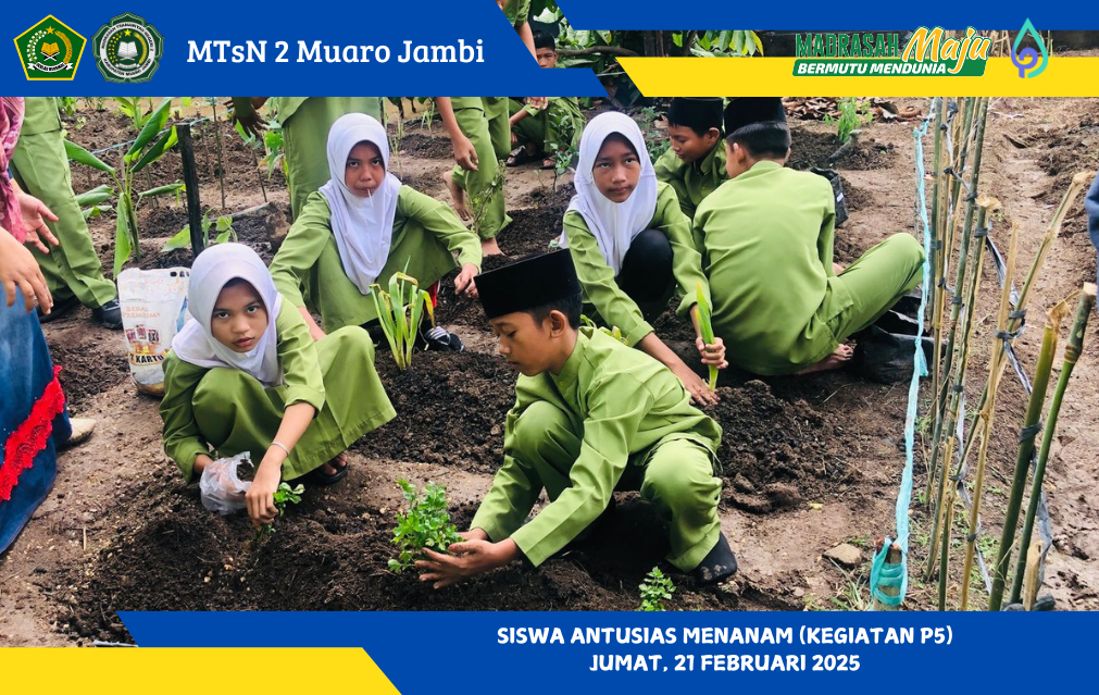 Siswa MTsN 2 Muaro Jambi Laksanakan P5 dengan Menanam Tanaman Toga dan Sayur-Mayur